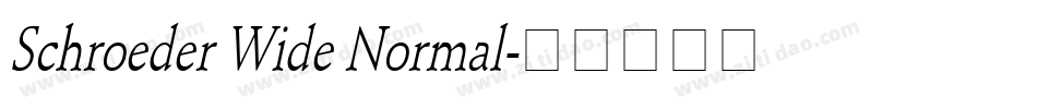 Schroeder Wide Normal字体转换